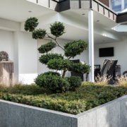 Garten und Landschaftsbau Bocholt, Innovatio GmbH, Gartengestaltung modern