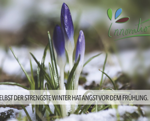 Innovatio GmbH Landschaftsbau und Gartenanlagen Düngen im Frühling im Garten