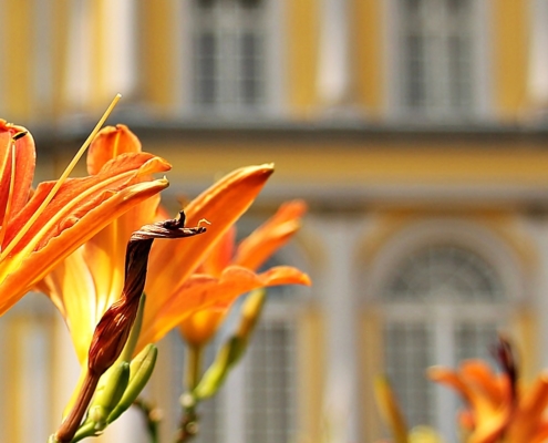 Innovatio Landschaftsbau und gartengestaltung Bocholt Rhede Tipps für die Gartenarbeit